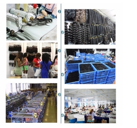 China Qingdao Yu Beauty hair product Co.,Ltd Company Profile