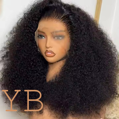 Good price Afro Kinky Curly Lace Front Wig Human Hair 13x4 Transparent Lace Wig Brazilian online